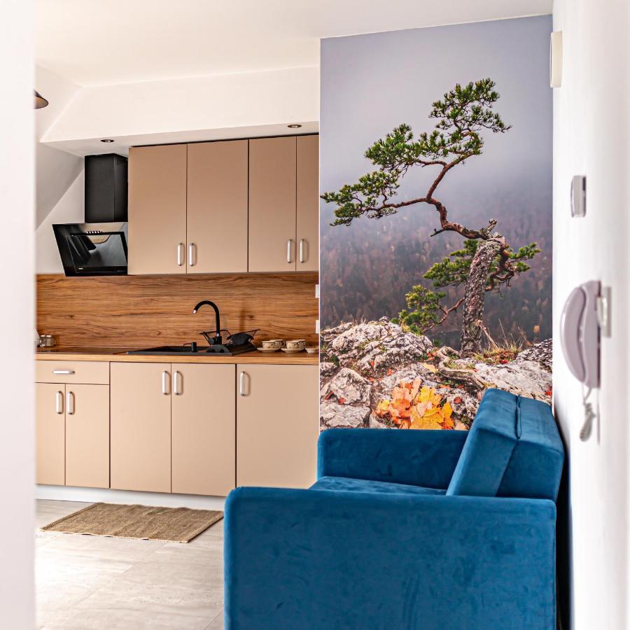 Velo Apartamenty Czorsztyn Εξωτερικό φωτογραφία