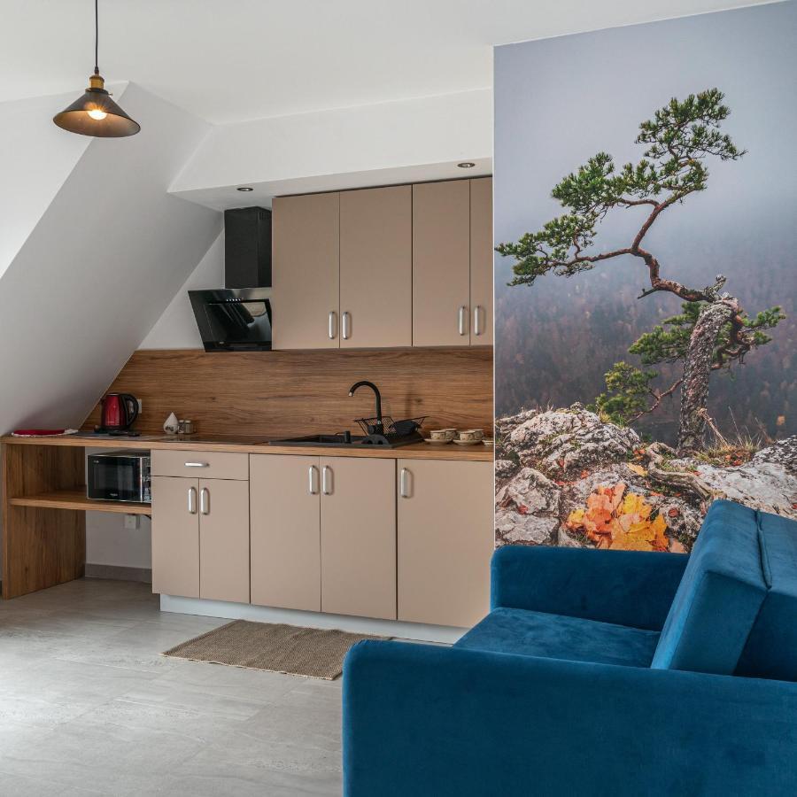 Velo Apartamenty Czorsztyn Εξωτερικό φωτογραφία
