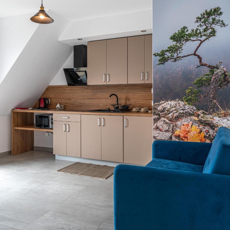 Velo Apartamenty Czorsztyn Εξωτερικό φωτογραφία